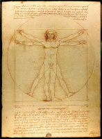 Da Vinci's Vitruvian Man